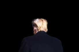 Medicare fraud is legendary and most of the time it goes undetected, costing. Trump Took 70 000 In Tax Deductions For Hair Care Experts Say That S Illegal The New York Times