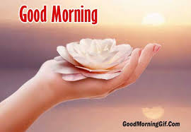 Good morning messages in hindi. Good Morning Nature Images With Quotes For Whatsapp Facebook
