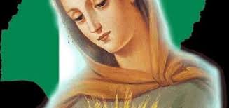 DAY 6: OUR LADY OF FATIMA.