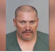 LA Underground Cat Network