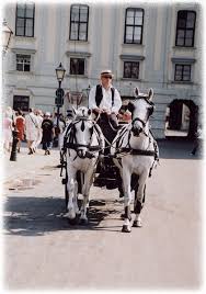 We did not find results for: Rundfahrten Mit Dem Fiaker Durch Wien Kutschfahrten