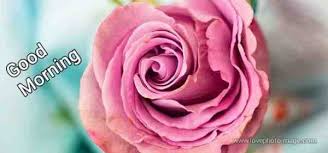 Morning is a good time to remember all the good looking for love text messages for her? Romantic Love Message To Make Her Laugh Good Morning Sms Of Love