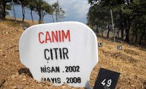 Turkiye Deki Hayvan Mezarligindan 13 Duygusal Fotograf