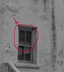 The federal penitentiary at alcatraz was shut down in 1963 because its operating expenses were much higher than those of other federal facilities at the time. 250 Alcatraz Ideas Alcatraz Alcatraz Island Alcatraz Prison