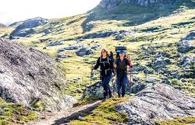 This part is like a walk in a park. Signaturled Kungsleden Abisko Naturkartan