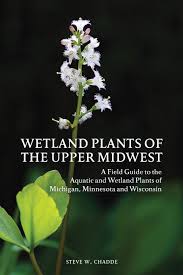 Maybe you would like to learn more about one of these? Wetland Plants Of The Upper Midwest A Field Guide To The Aquatic And Wetland Plants Of Michigan Minnesota And Wisconsin Chadde Steve W 9781951682019 Amazon Com Books