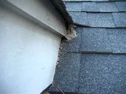 Look closely at the fascias and soffits to determine if. Yellow Jackets In Soffit Youtube