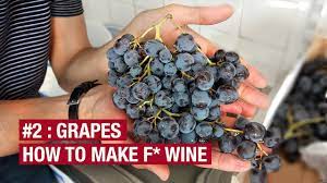 Making wine is one of my favorite pastimes. 2 Bought 10kg Of Grapes Now What How To Make F Wine At Home Ep2 Youtube
