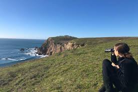 Check spelling or type a new query. Winter Whale And Elephant Seal Watching At Point Reyes National Seashore Marin Mommies