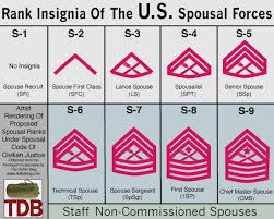 pentagon releases preliminary military spouse rank chart