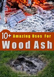 Put five pounds of ashes in a permeable cloth or burlap. 10 Amazing Ways To Use Wood Ash My Homestead Life