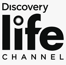 Channel Discovery Life Logo Png Discovery Life Channel Logo Transparent Png Transparent Png Image Pngitem