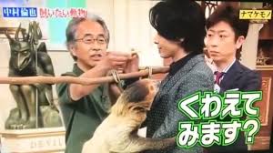 ボード 中村 倫也 のピン