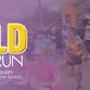 Go for the Gold 5k & Fun Run (Volunteer Opportunities)