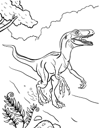 Free Velociraptor Coloring Page Coloring Pages Animal Coloring Pages Dinosaur Coloring Pages