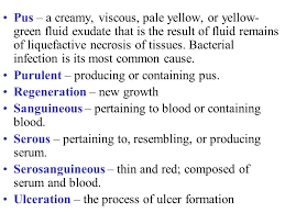 Why Is Wound Care Done General Purposes Of Dressings Ppt