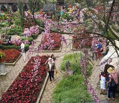 Best Holiday Spots In Bandung West Java Everywhere You Should Go Meloaku Scenery Girl Wallpaper West Java