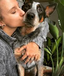 Working from home with pets and starting a diet in Australia