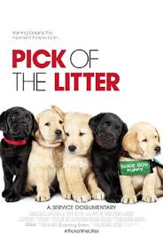 Debbye turner offers some advice, with the help of a few puppies on the set from holly hollow kennels. Pick Of The Litter Film Wikipedia