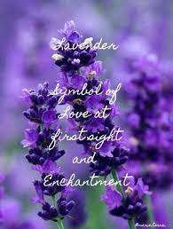 Lavender Symbolism Acts Of The Apostles Purple Flowers Lavender
