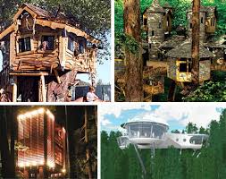 Spans greater than 10 feet require additional bracing. 10 Amazing Tree Houses Plans Pictures Designs Ideas Kits Urbanist