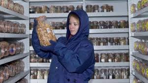 Millennium bank, a bank in greece millennium bcp, a portuguese bank that was founded in 1985 millennium bim, the largest bank in mozambique millennium seed. Medical Science Students Sow The Seeds At The Millennium Seed Bank Coulsdon Sixth Form College