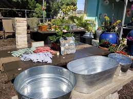 Pin On Ideas From Maris Garden