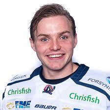ISHOCKEY: PUBLIKUMSYNDLING VENDER HJEM 26-årige Gorm Topholt vender hjem  til Frederikshavn White Hawks, efter to sæsoner i Odense. Gorm Topholt er  født op opvokset i Frederikshavn, og var en publikumsyndling, inden han