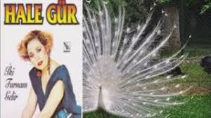 Cuz i know i don't sound much like her. Lizz Robinett Renai Circulation English Cover Tiktok Song Leader Of Lyrics