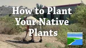 Rancho palos verdes aerial near los angeles california. Native Plants Nursery Palos Verdes Peninsula Land Conservancy