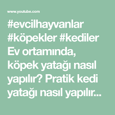 evcilhayvanlar kopekler kediler ev ortaminda kopek yatagi nasil yapilir pratik kedi yatagi nasil yapilir pratik kopek yatagi nasi kopek yatagi kedi kopek