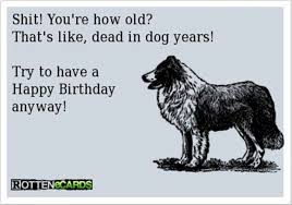 Messages Insulting Birthday Wishes For Best Friend In English Birthday Insult Funny Happy Birthday Pictures Happy Birthday Funny Ecards Sarcastic Birthday