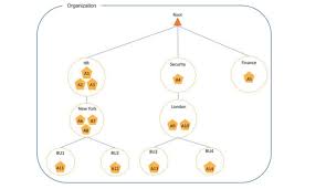 Organizational Model Establishing Enterprise Architecture