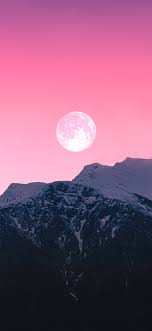 French national day big sale! Pink Wallpapers Free Hd 4k Download Wallpapersmax