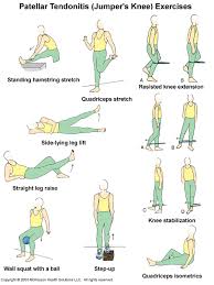 Injury Series Tendon Remodeling Part Ii Decline Squats And Patellar Tendonitis Physical Therapy Exercises Knee Exercises Patellar Tendonitis