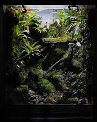 Pin Van Jeroen Hilferink Op Terrarium Terrarium Dieren Terras
