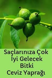 Saclariniza Cok Iyi Gelecek Bitki Ceviz Yapragi 2020 Sac Cilt Urunleri Dogal Sac Bakimi