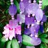 Unfortunately, most fresh cut flowers don't last very long, and it can be a big bummer when your flowers start wilting and drooping after only a few days. How To Make A Cut Bunch Of Flowers Last Longer In Water Quora