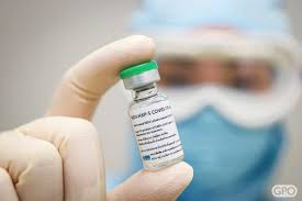 Now, work is underway to. Human Trials Begin For A Low Cost Covid 19 Vaccine To Extend Global Access Ut News