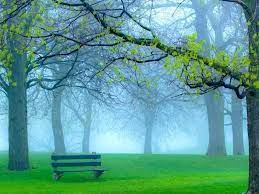 Best nature hd wallpapers for mobile and desktop, android and iphone. 50 Good Morning Nature Hd Images Beautiful Nature Images Good Morning Images Hd Morning Picture Wishes Messages