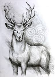 Original Deer Art Stag Pencil Drawing Graphite Home Decor Etsy In 2021 Deer Art Deer Drawing Pencil Drawings Of Animals