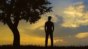A man standing on top of rocks with his arms stretched up into the air. The Man Stand Near The Tree Against The Stock Video Pond5