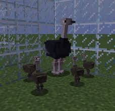 They range from creatures consisting of a few cells (like amoeba) to giants. Pin On Minecraft Mobs
