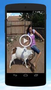 Maybe you would like to learn more about one of these? Funny Videos Top Funny Clips For Android Apk Download