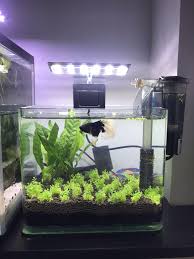 Orders of $35 or more get free shipping! Betta Tank Pet Supplies For Fish Fish Tanks On Carousell
