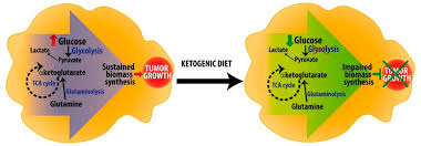 However, since the keto diet allows you to consume plenty of nutrients, you will not have to experience the muscle loss or unhealthy decreases in well, that would be pretty delightful, but consuming massive amounts of protein can also raise insulin levels to the point that it kicks you out of ketosis. Nutrients Free Full Text Ketogenic Diet A New Light Shining On Old But Gold Biochemistry Html