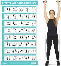 How many biceps exercises should there be in a back/biceps workout? Amazon Com Vive Resistance Band Workout Poster Laminated Bodyweight Hitt Exercise Chart For Abs Glute Back Legs Stretch Routine For Home Gym Garage 40 Educational Cable Muscle Trainings For Men