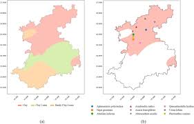 Image result for Queenslandiella