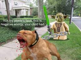 Not My Pibbles Fault This Is Dogs Know Your Meme