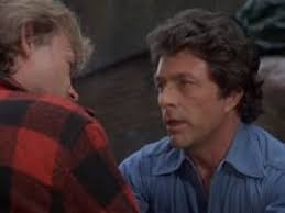 The Incredible Hulk (TV Series 1977–1982)